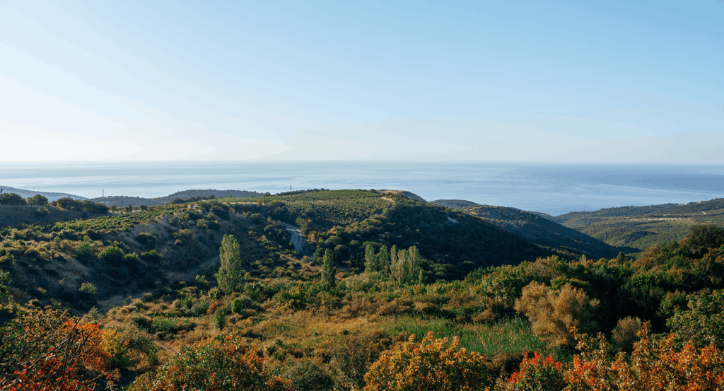 Views of the Pacific Ocean in Malibu with lush vegetation.
