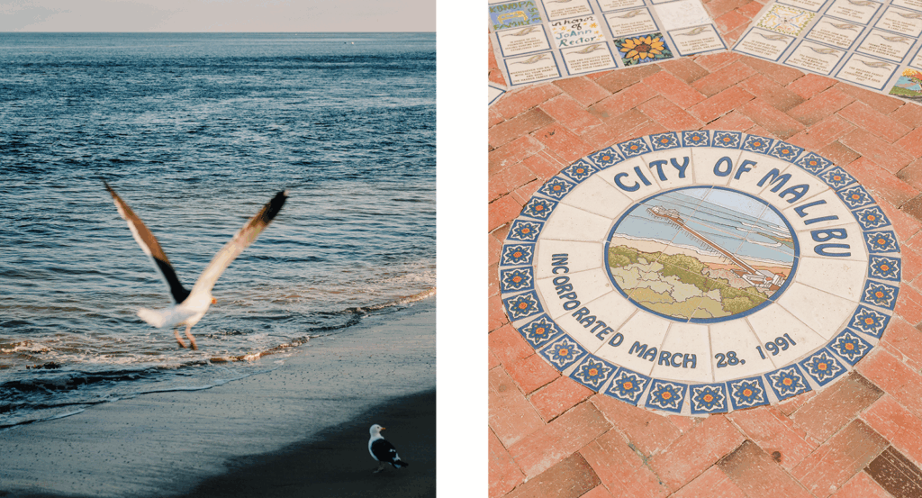 Seagulls flying on the beach and a tile City of Malibu sign