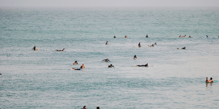Surfers in the ocean by Malibu Beach Inn