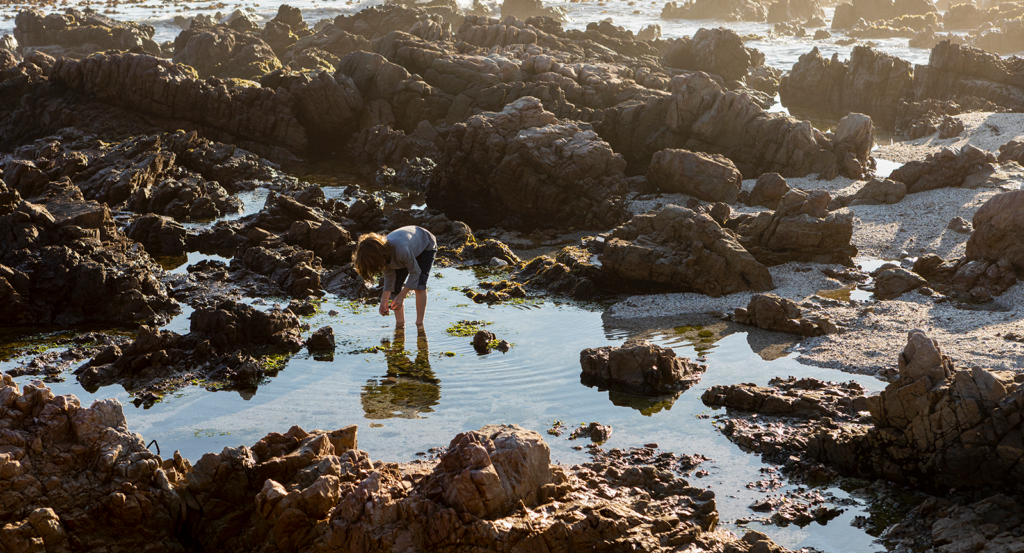 A young boy wading in Malibu tide pools at low tide