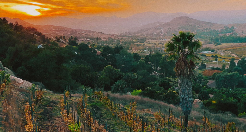 A winery in Malibu during fall with the sun setting in the background