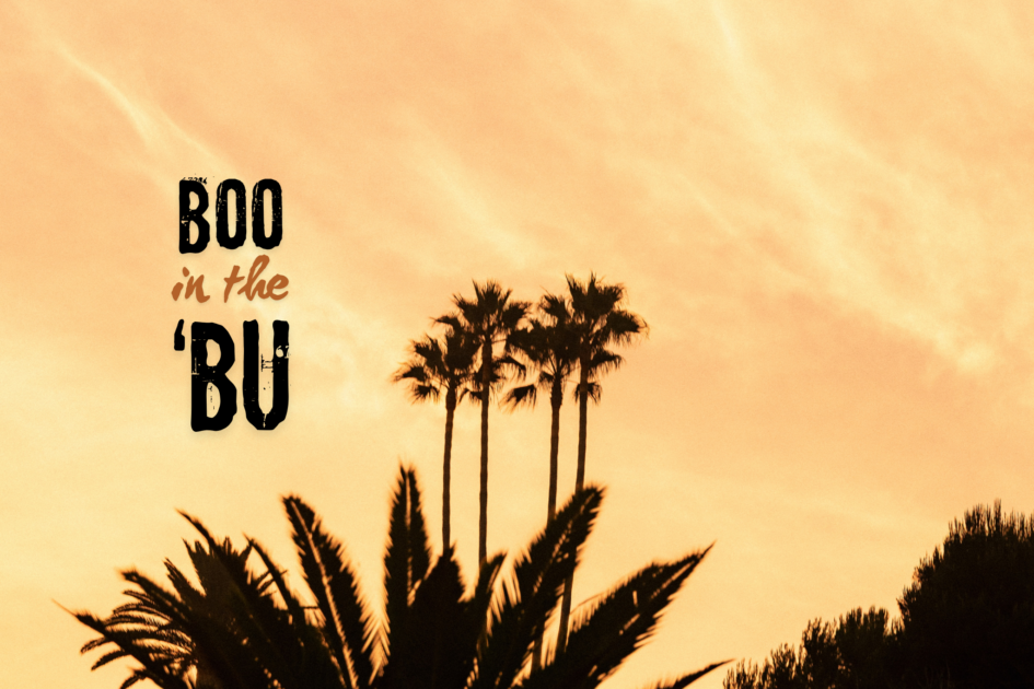 sunset photo with palm trees and boo in the 'bu overlay text